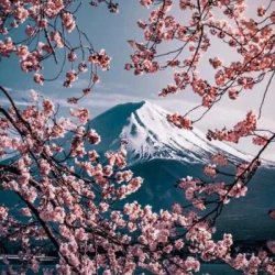 用戶頭像